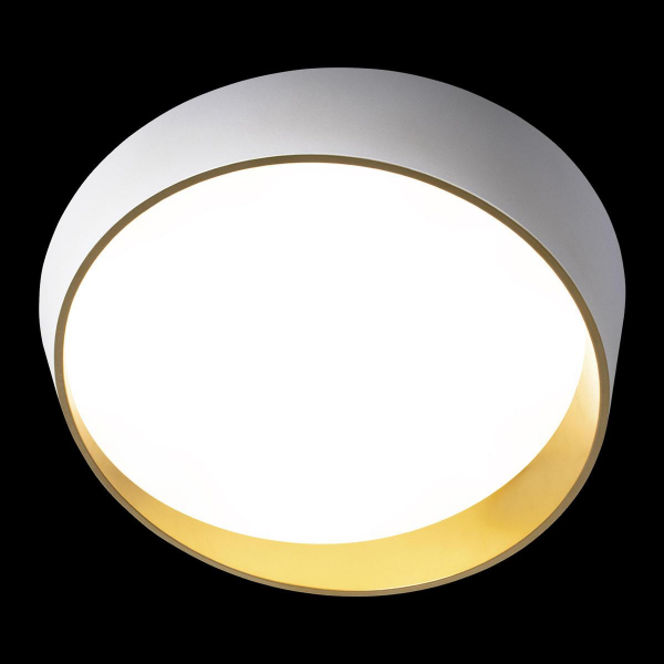 Потолочный светодиодный светильник Loft IT Coin 10199 White Потолочный светодиодный светильник Loft IT Coin 10199 White