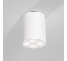 Потолочный светильник Elektrostandard 25111/LED a067483