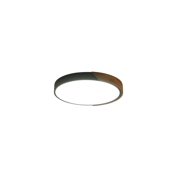Потолочный светильник Zortes ALBERRO ZRS.01287.72 Потолочный светильник Zortes ALBERRO ZRS.01287.72