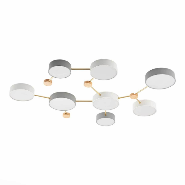 Потолочный светильник Evoluce DOSSENA SLE600102-08 Потолочный светильник Evoluce DOSSENA SLE600102-08