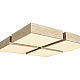 Потолочный светильник Freya Кубба / Cubba FR5450CL-L120BG