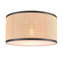 Потолочный светильник Velante 568-717-01