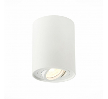 Потолочный светильник ST Luce ST108.517.01