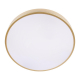 Потолочный светодиодный светильник Loft IT Flims 10228/A