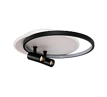Потолочный светильник Freya Прожекторы / Spotlights FR6083CL-L106WB