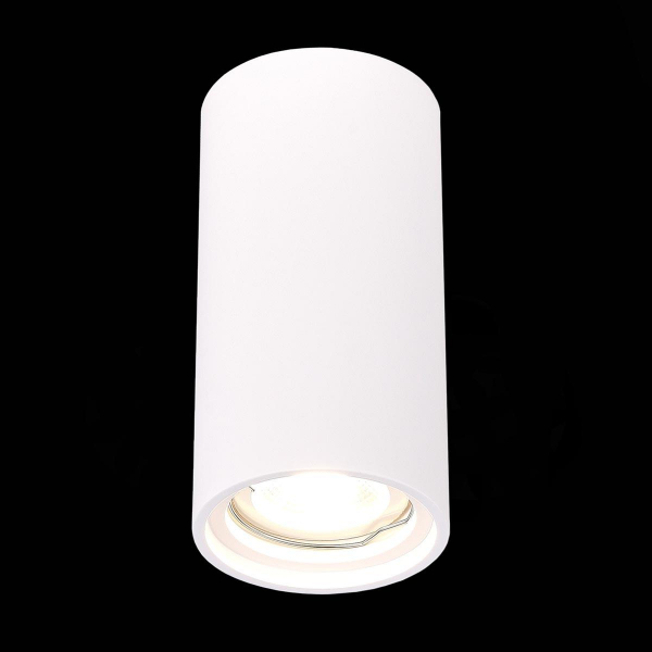 Потолочный светильник ST Luce ST155.502.01 Потолочный светильник ST Luce ST155.502.01