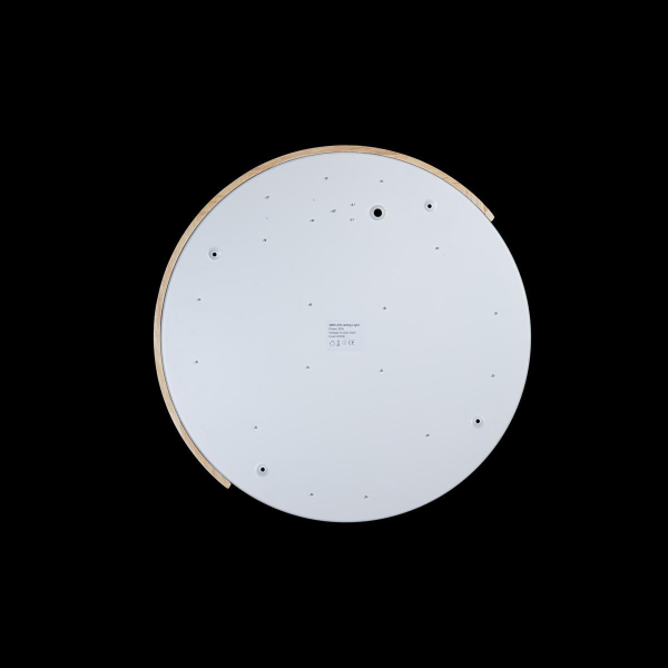 Потолочный светодиодный светильник Loft IT Axel 10004/36 white Потолочный светодиодный светильник Loft IT Axel 10004/36 white