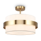 Потолочный светильник Freya Bride FR5367CL-03BS