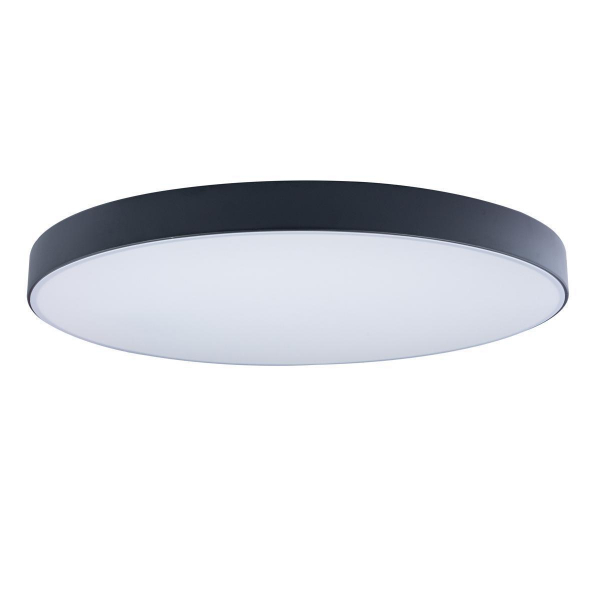 Потолочный светодиодный светильник Loft IT Axel 10002/48 black Потолочный светодиодный светильник Loft IT Axel 10002/48 black