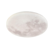 Потолочный светодиодный светильник Profit Light 2159/450 WH RGB