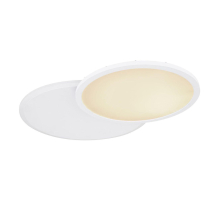 Потолочный светодиодный светильник Globo Samu 48124D1