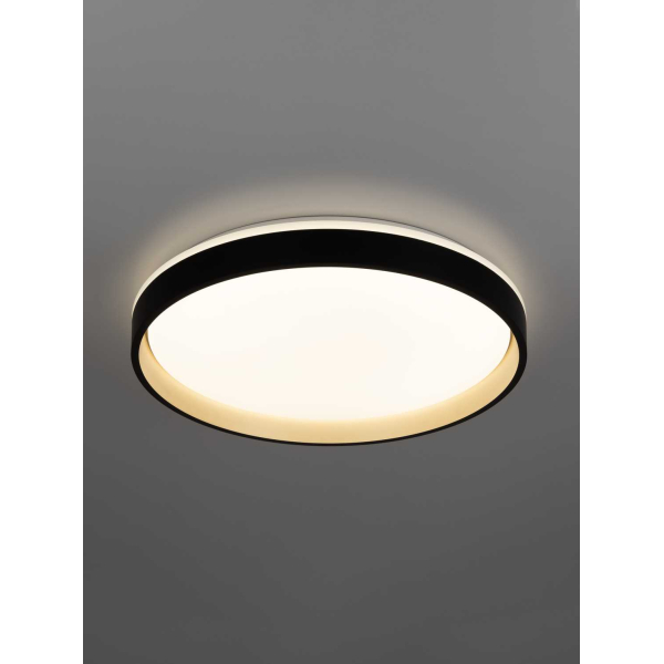 Потолочный светильник Citilux CL753451G