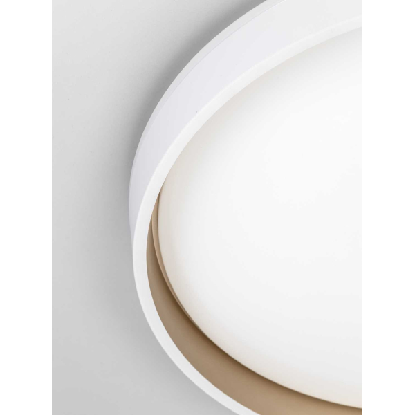 Потолочный светильник Citilux CL753450G