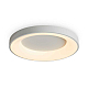 Потолочный светильник Freya Соответствие / Fit FR6157CL-L65W