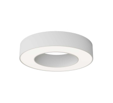 Потолочный светильник Maytoni Technical C093CL-24W4K-W