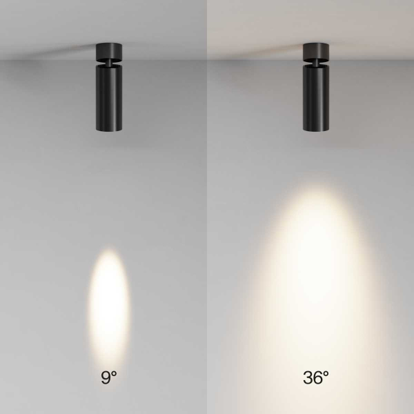 Потолочный светильник Maytoni Technical C055CL-L12W2.7K-SS-B