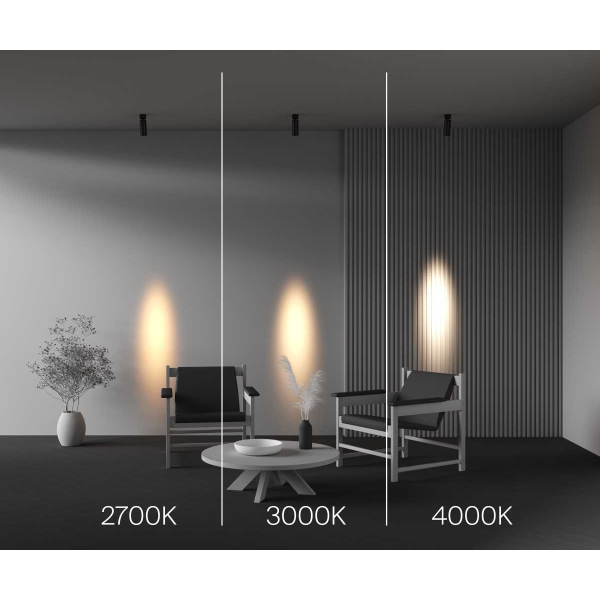 Потолочный светильник Maytoni Technical C055CL-L12W2.7K-SS-B