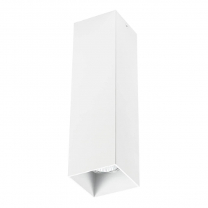 Потолочный светильник Lightstar Rullo 216596