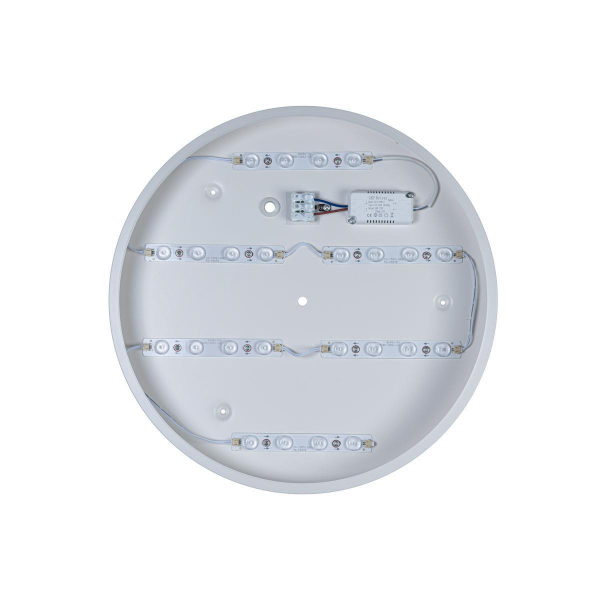 Потолочный светодиодный светильник Loft IT Axel 10003/24 white Потолочный светодиодный светильник Loft IT Axel 10003/24 white