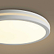 Потолочный светильник Freya Руа / Rua FR6160CL-L40W