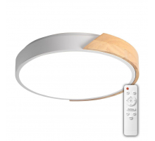 Потолочный светодиодный светильник Jazzway PPB Sсandic-R 5036994