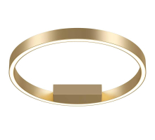 Потолочный светодиодный светильник Maytoni Rim MOD058CL-L25BSK