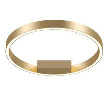 Потолочный светодиодный светильник Maytoni Rim MOD058CL-L25BSK