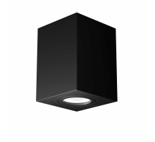 Потолочный светильник Maytoni Alfa C017CL-01B