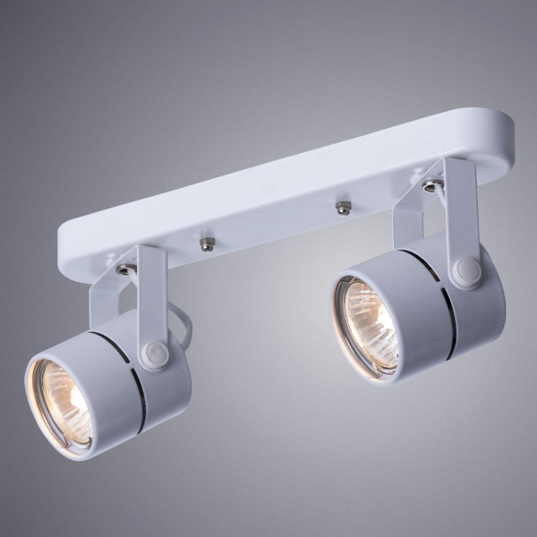 Потолочный светильник Arte Lamp A1311PL-2WH Потолочный светильник Arte Lamp A1311PL-2WH