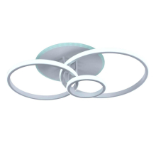 Потолочный светильник Rivoli Reinhild 6085-103 Б0052401