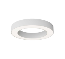 Потолочный светильник Maytoni Technical C093CL-36W4K-W