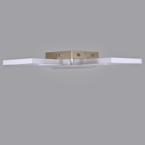 Потолочный светильник Reluce 55406-0.3-2+2