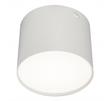 Потолочный светодиодный светильник Escada 20004SMU/01LED SWH