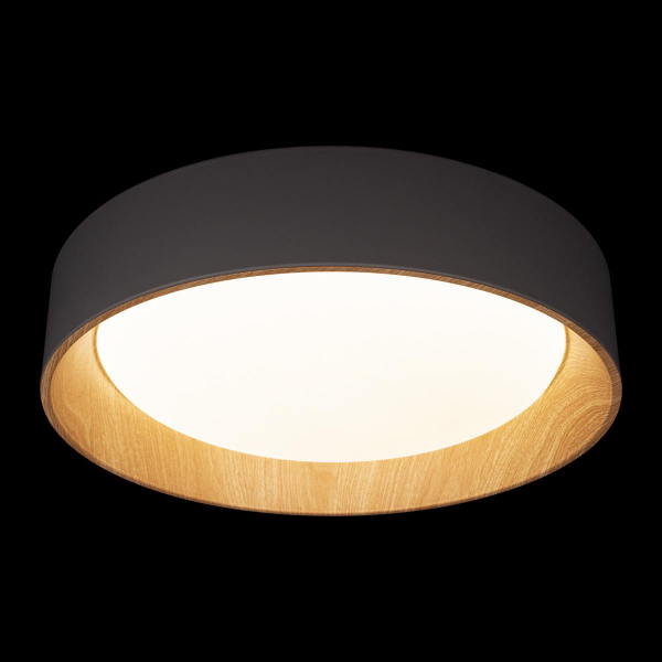 Потолочный светодиодный светильник Loft IT Coin 10202 Grey Потолочный светодиодный светильник Loft IT Coin 10202 Grey