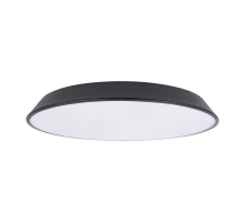 Потолочный светодиодный светильник Loft IT Brim 10226 Black