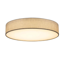 Потолочный светодиодный светильник Globo Paco 15185D5