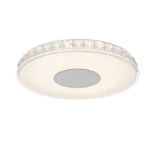 Потолочный светодиодный светильник Globo Denni 49336-16R