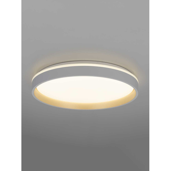 Потолочный светильник Citilux CL753450G