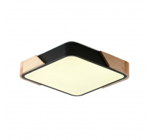 Потолочный светильник Zortes ALBERRO ZRS.01281.24