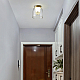 Потолочный светильник Imperium Loft Clarity B 243715-26