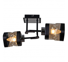 Потолочный светильник Reluce 61716-0.3-02