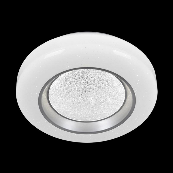 Потолочный светильник Reluce 02098-9.2-24W*2 Потолочный светильник Reluce 02098-9.2-24W*2