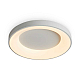 Потолочный светильник Freya Соответствие / Fit FR6157CL-L65W
