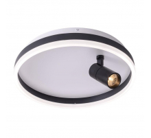 Потолочный светодиодный светильник Zortes Raizy ZRS.1888.03