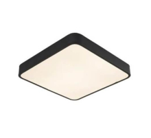 Потолочный светильник Arte Lamp A2663PL-1BK