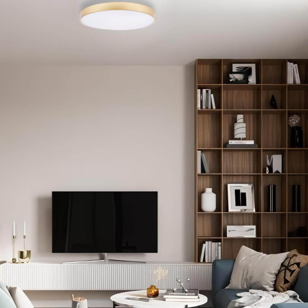 Потолочный светодиодный светильник Loft IT Flims 10228/A Потолочный светодиодный светильник Loft IT Flims 10228/A