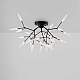 Потолочный светильник Freya Iris FR5067CL-27B