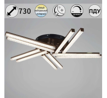 Светильник потолочный Reluce 17090-0.3-10 BK+FG
