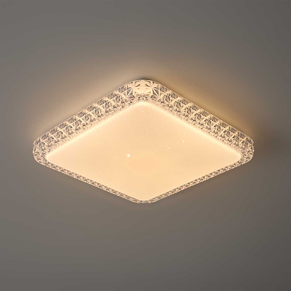 Потолочный светильник Freya Биссар / Bissar FR6227CL-L36W