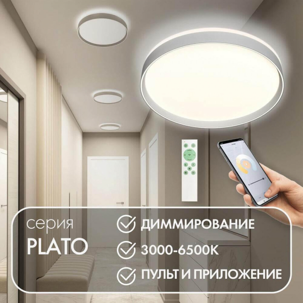 Потолочный светодиодный светильник Denkirs DK6511-WH Потолочный светодиодный светильник Denkirs DK6511-WH